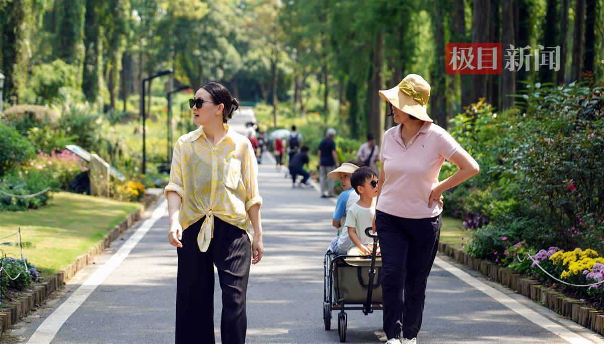 奔驰宝马游戏电脑版